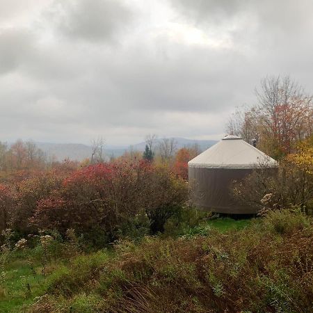 Hotel Livingston Manor Yurt Parksville Esterno foto