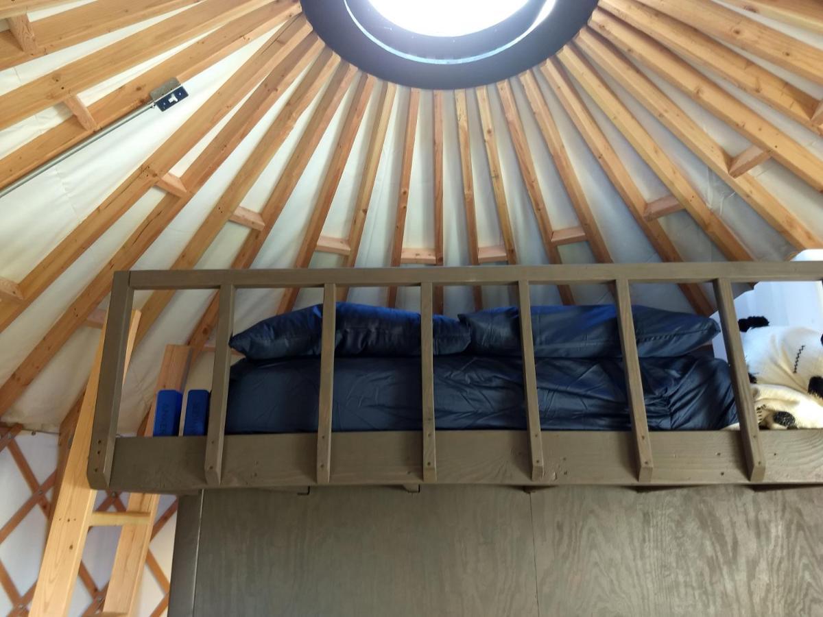 Hotel Livingston Manor Yurt Parksville Esterno foto